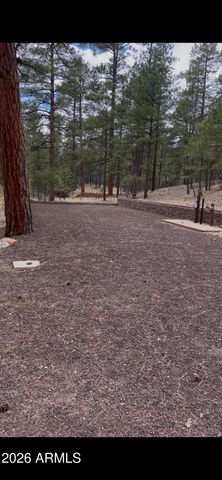 00 S 24TH Drive -, Show Low, AZ 85901