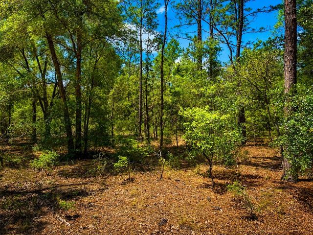 TBD SW 93RD PLACE, Dunnellon, FL 34432