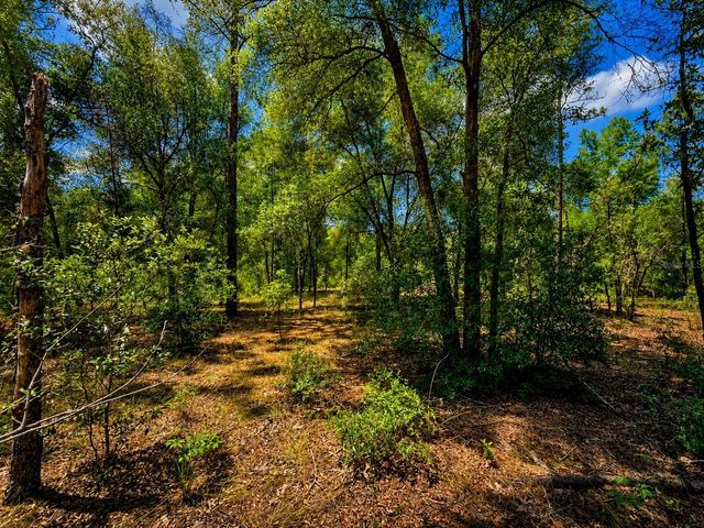 TBD SW 93RD PLACE, Dunnellon, FL 34432