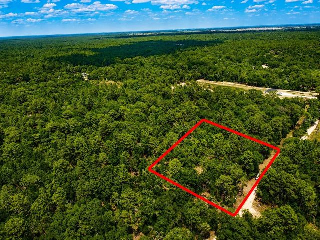 TBD SW 93RD PLACE, Dunnellon, FL 34432