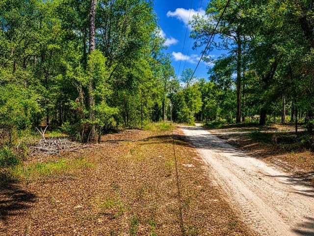 TBD SW 93RD PLACE, Dunnellon, FL 34432