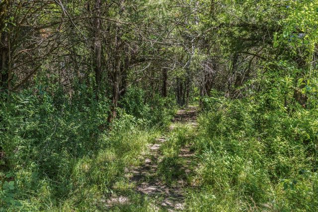 3670 Fm 2475, Wills Point, TX 75169