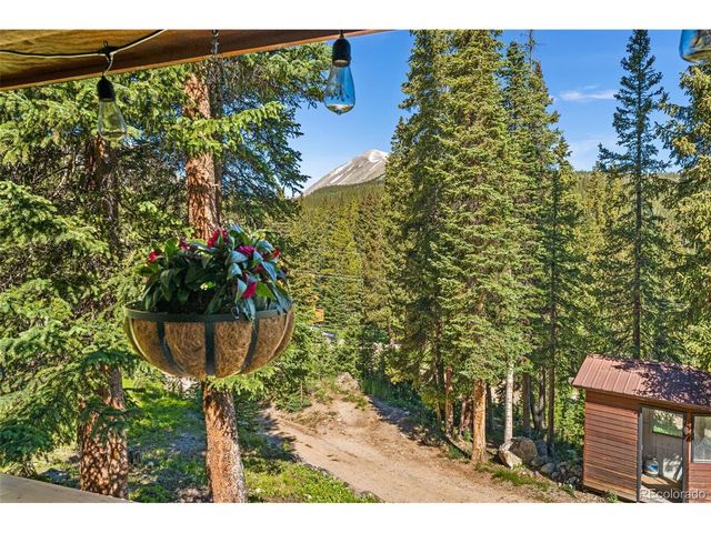 654 County Road 672, Breckenridge, CO 80424