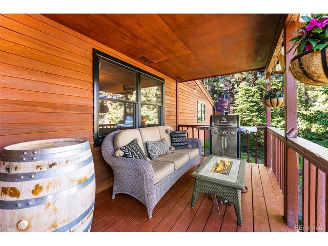 654 County Road 672, Breckenridge, CO 80424