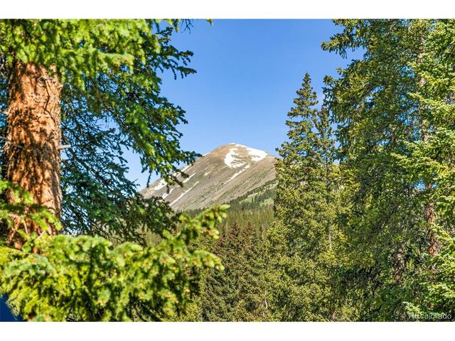 654 County Road 672, Breckenridge, CO 80424