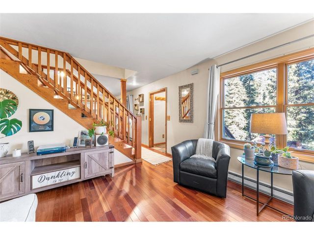 654 County Road 672, Breckenridge, CO 80424