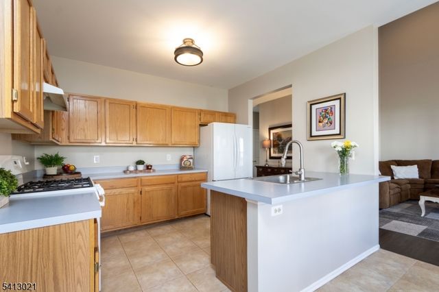 12 Lewis Dr, Bridgewater Twp., NJ 08807