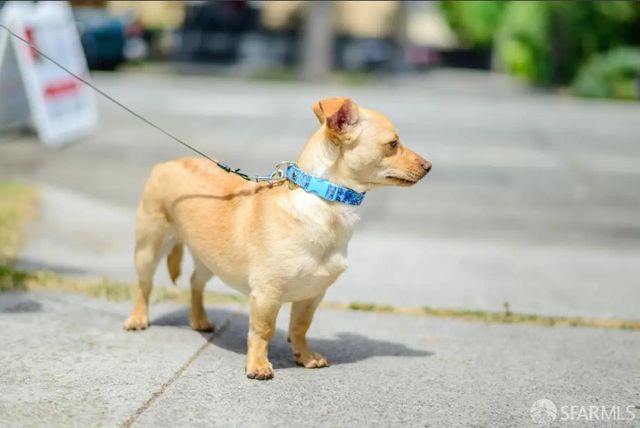 647 North 2nd Street, San Jose, CA 95112