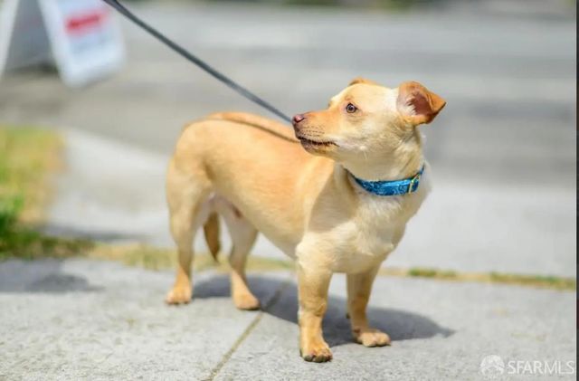 647 North 2nd Street, San Jose, CA 95112