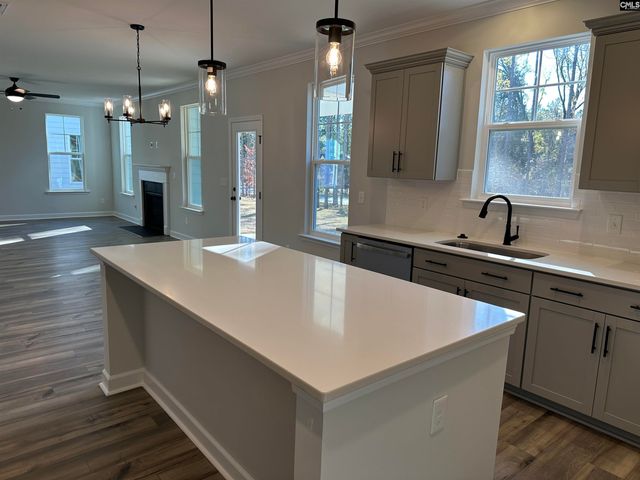 306 Rising Stream Way, Chapin, SC 29036