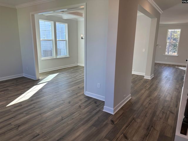 306 Rising Stream Way, Chapin, SC 29036