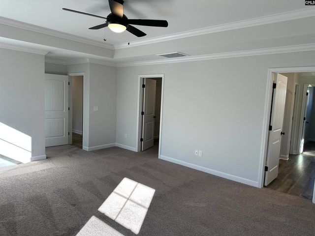 306 Rising Stream Way, Chapin, SC 29036