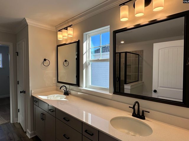 306 Rising Stream Way, Chapin, SC 29036