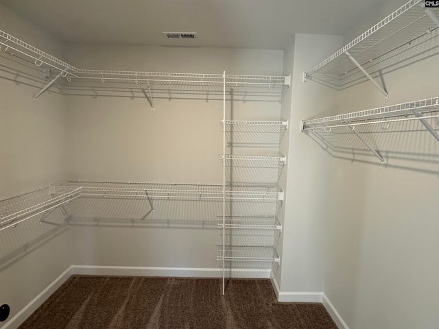 306 Rising Stream Way, Chapin, SC 29036