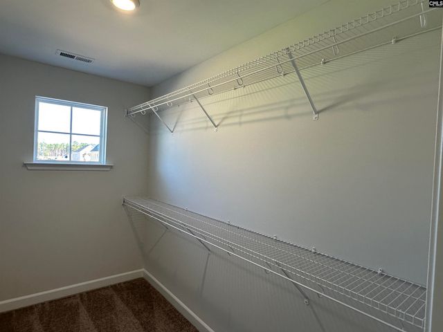 306 Rising Stream Way, Chapin, SC 29036