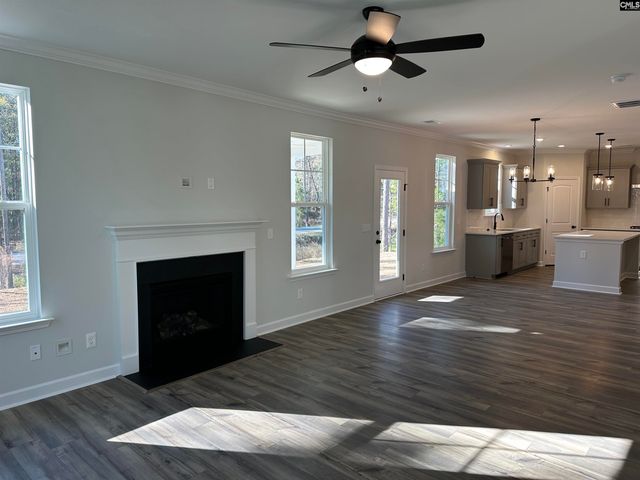 306 Rising Stream Way, Chapin, SC 29036