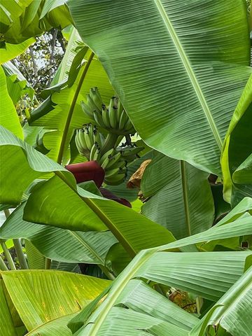 1220 LAKE HIGHVIEW LANE, Brandon, FL 33510