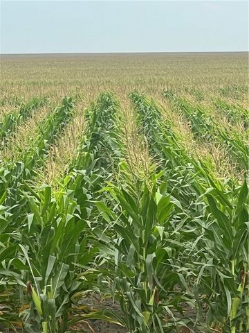 00 Fm-2044, Alice, TX 78332