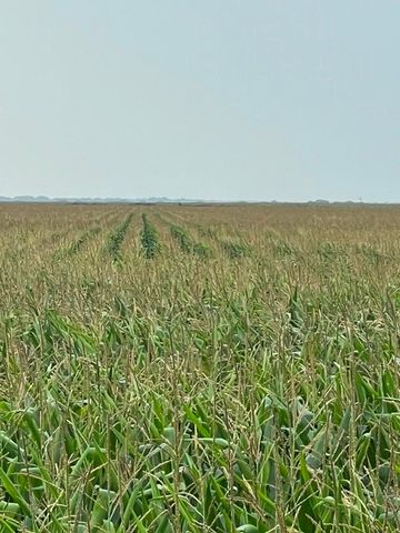 00 Fm-2044, Alice, TX 78332