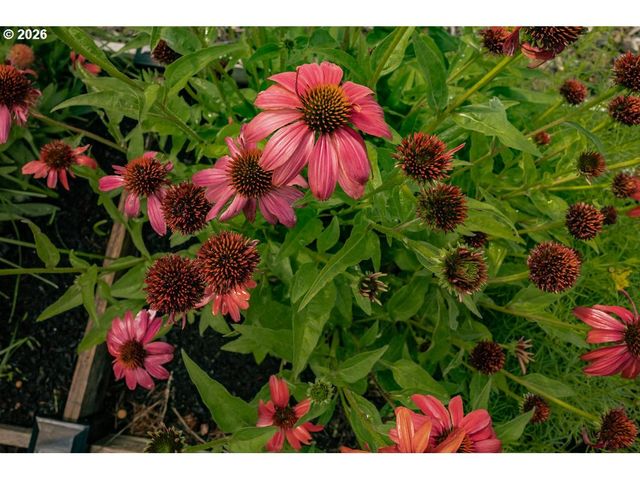 104 N COLLEGE St, Joseph, OR 97846