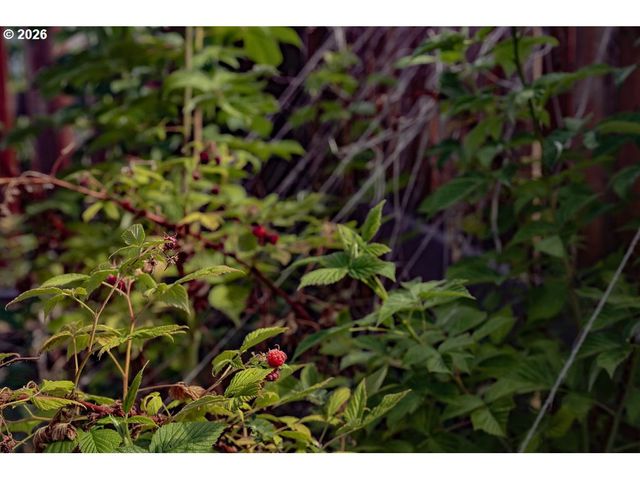 104 N COLLEGE St, Joseph, OR 97846