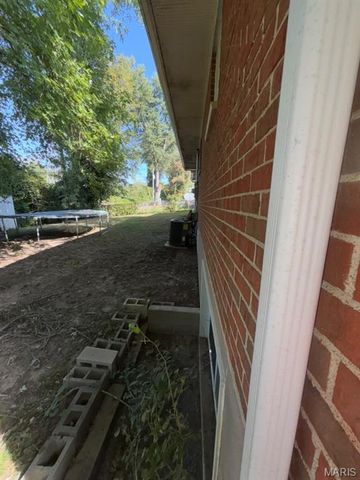 10217 Trio Lane, St Louis, MO 63137