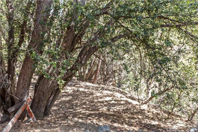 5215 Lone Pine Canyon Drive, Wrightwood, CA 92397