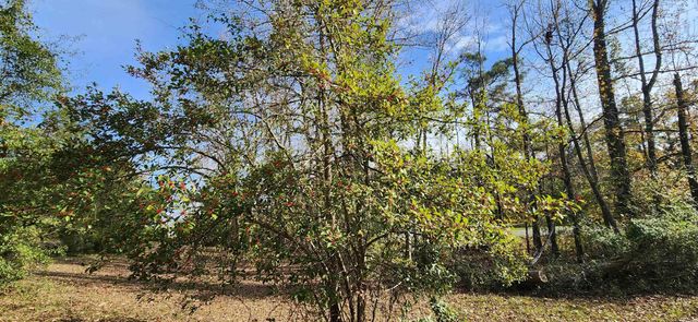 707 W Kennedy Drive, Star City, AR 71667