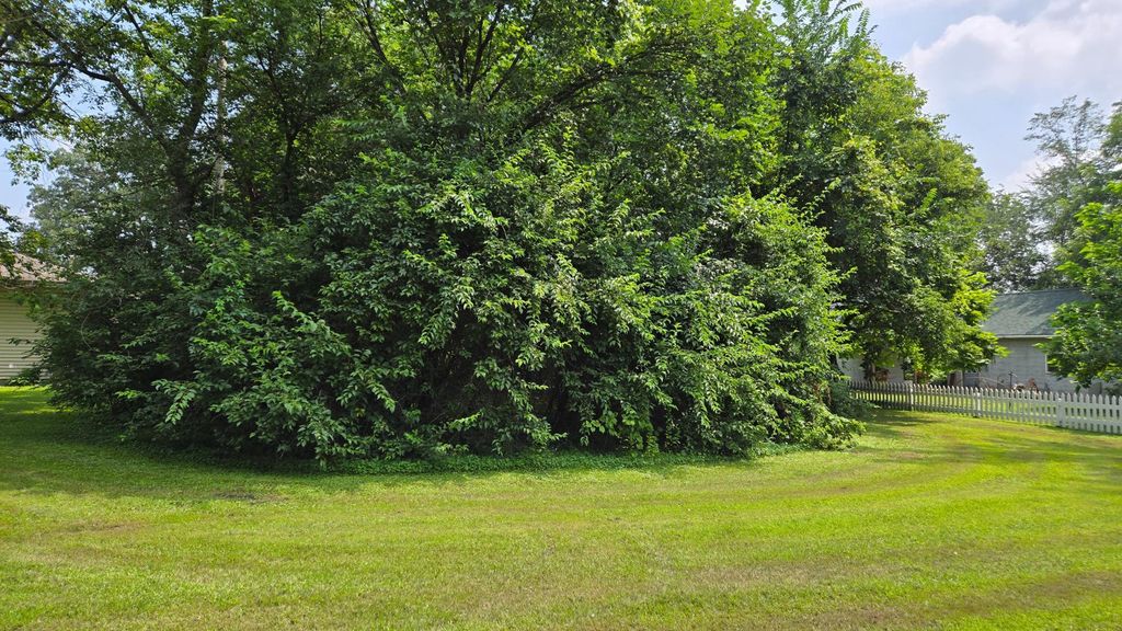 TBD Bluff Street, Clearwater, MN 55320