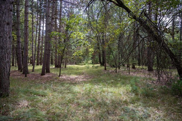 Lot 4 Meadow Drive, New Lisbon, WI 53950