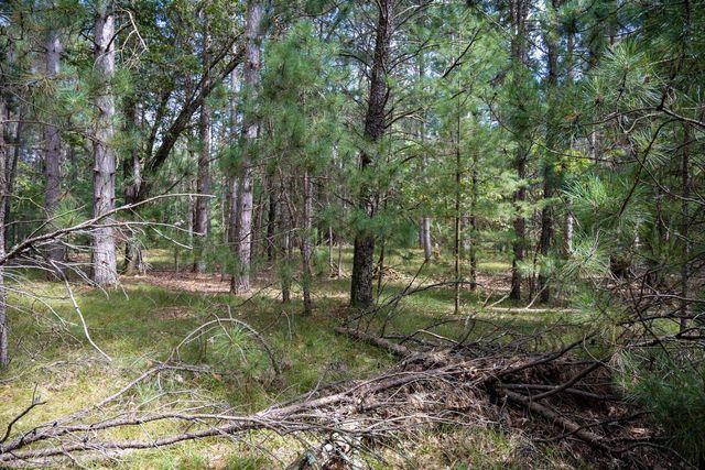 Lot 4 Meadow Drive, New Lisbon, WI 53950