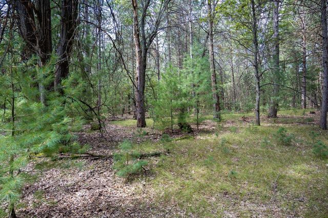 Lot 4 Meadow Drive, New Lisbon, WI 53950