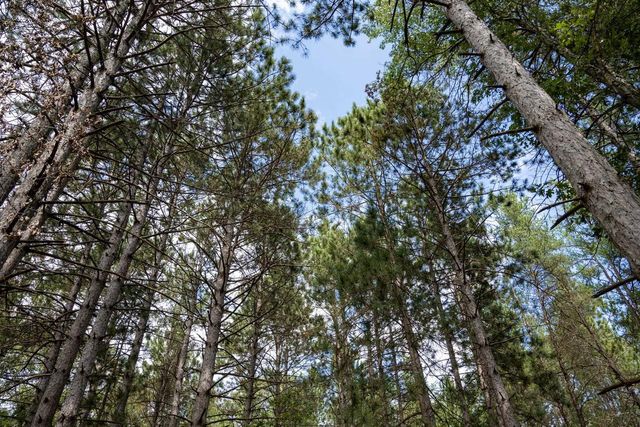 Lot 4 Meadow Drive, New Lisbon, WI 53950