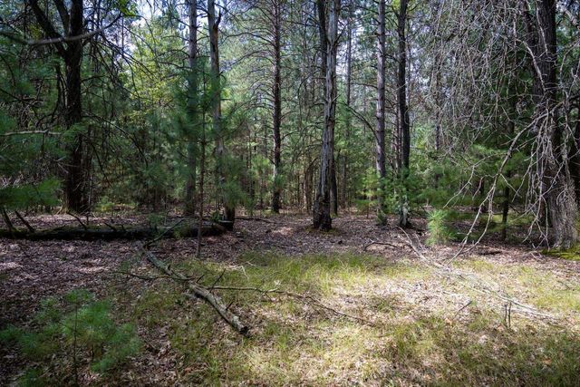 Lot 4 Meadow Drive, New Lisbon, WI 53950