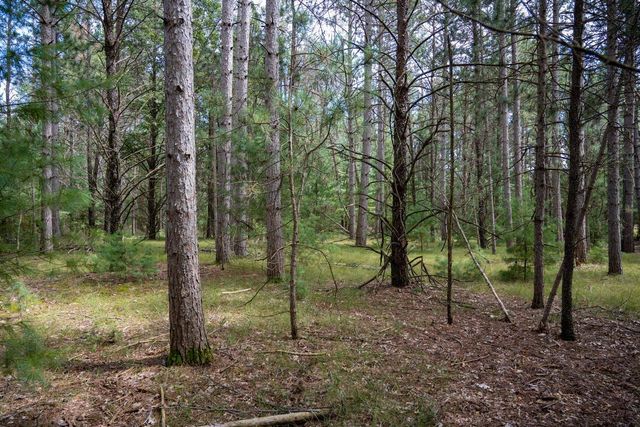 Lot 4 Meadow Drive, New Lisbon, WI 53950