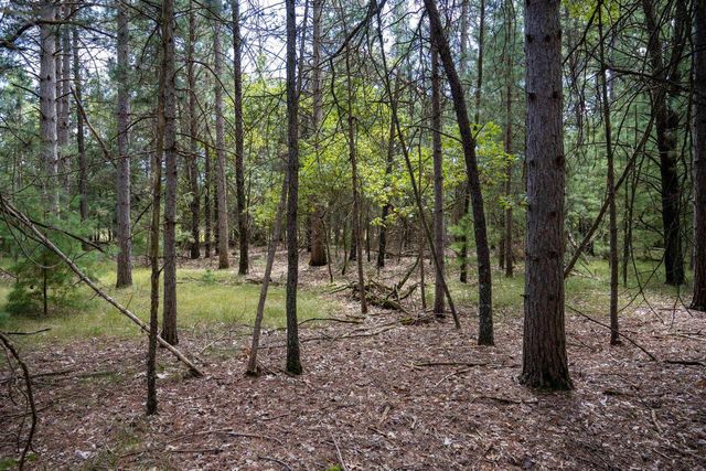Lot 4 Meadow Drive, New Lisbon, WI 53950