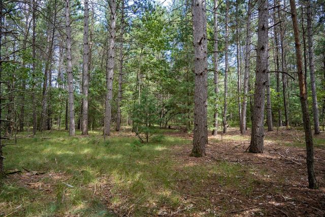 Lot 4 Meadow Drive, New Lisbon, WI 53950