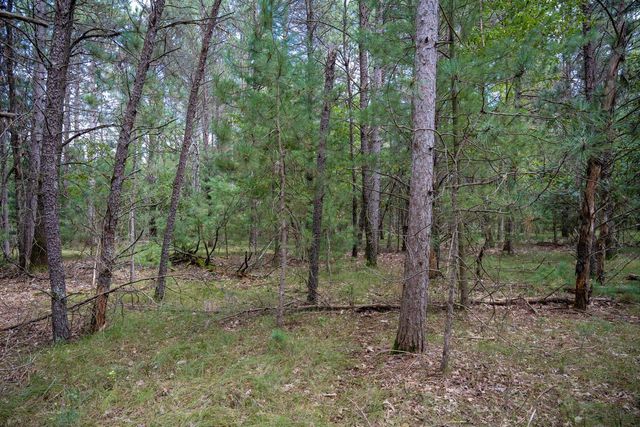 Lot 4 Meadow Drive, New Lisbon, WI 53950