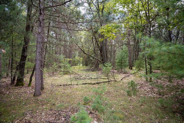 Lot 4 Meadow Drive, New Lisbon, WI 53950