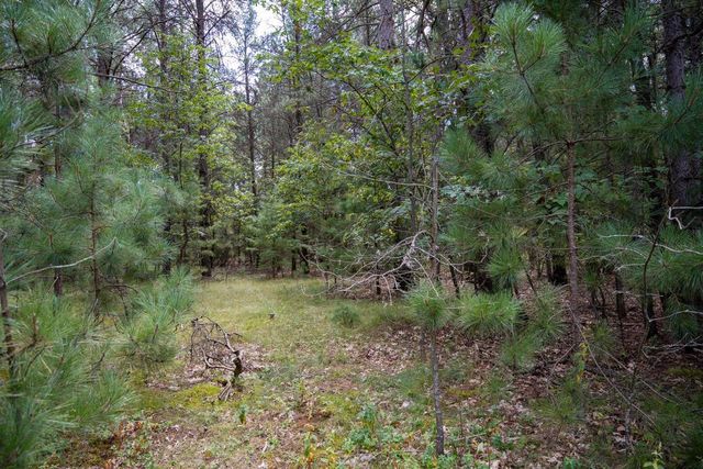Lot 4 Meadow Drive, New Lisbon, WI 53950