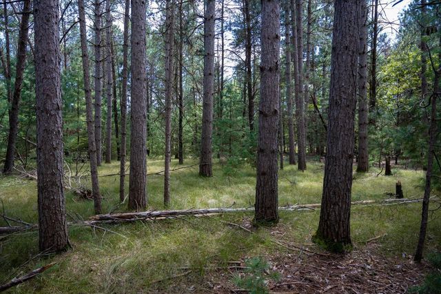 Lot 4 Meadow Drive, New Lisbon, WI 53950