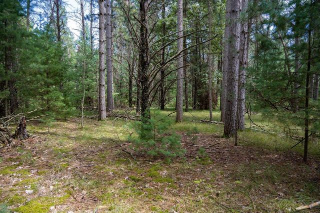 Lot 4 Meadow Drive, New Lisbon, WI 53950