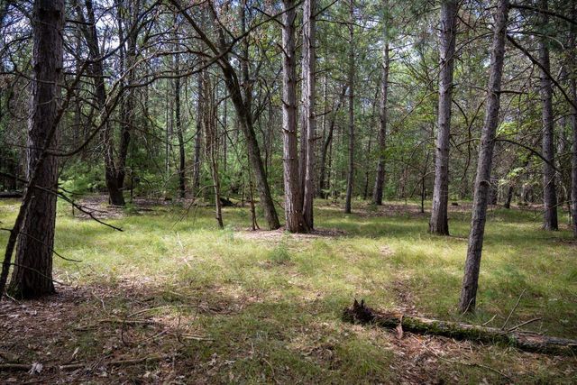 Lot 4 Meadow Drive, New Lisbon, WI 53950