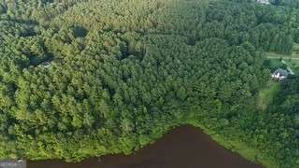 LOT B Brush Creek Road, Colbert, GA 30628 — exterior