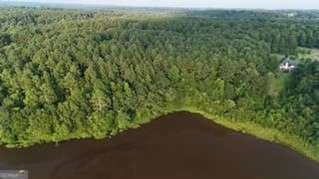 LOT B Brush Creek Road, Colbert, GA 30628 — photo 3