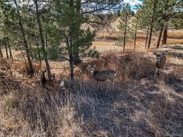 1854 Belgian Trail, Elizabeth, CO 80107