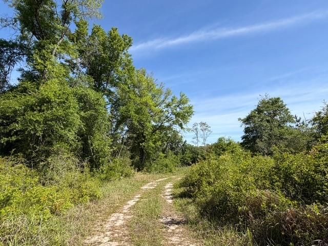 0 Sandy Creek Lane, Mobile, AL 36695