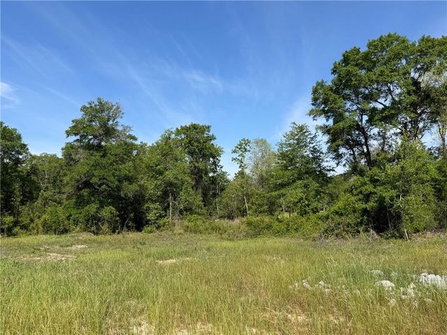 0 Sandy Creek Lane, Mobile, AL 36695