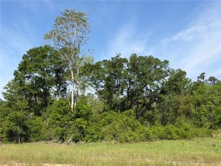0 Sandy Creek Lane, Mobile, AL 36695