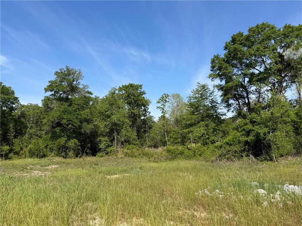 0 Sandy Creek Lane, Mobile, AL 36695 — photo 4